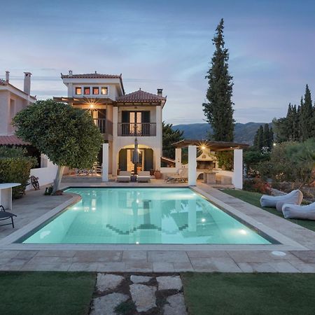 Thermisía Villa Nefeli מראה חיצוני תמונה